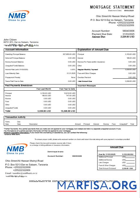 Downloadable Tanzania NMB Bank mortgage statement in Word and PDF formats download for verification